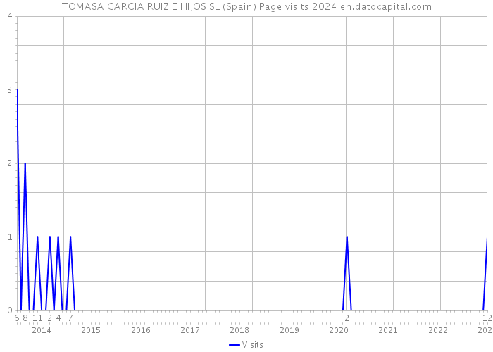 TOMASA GARCIA RUIZ E HIJOS SL (Spain) Page visits 2024 