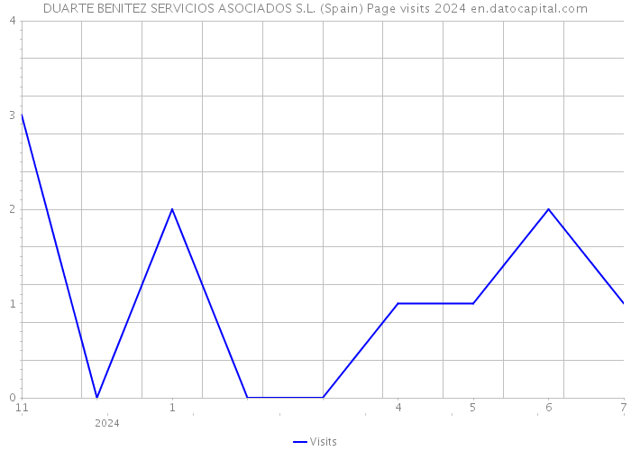 DUARTE BENITEZ SERVICIOS ASOCIADOS S.L. (Spain) Page visits 2024 