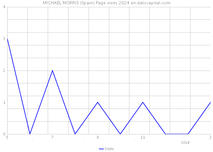 MICHAEL MORRIS (Spain) Page visits 2024 