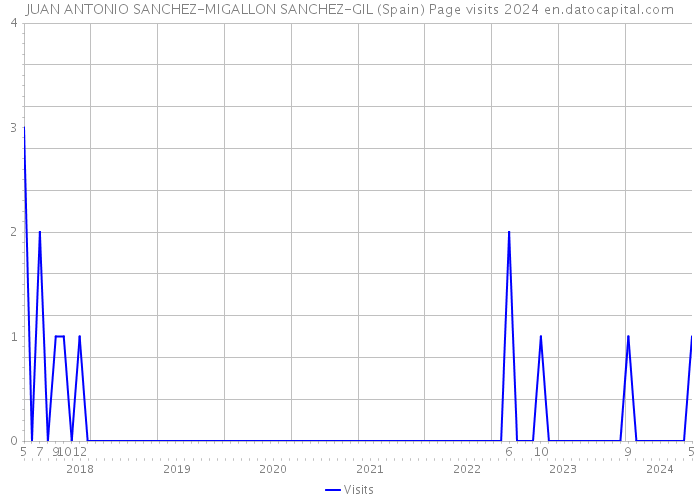 JUAN ANTONIO SANCHEZ-MIGALLON SANCHEZ-GIL (Spain) Page visits 2024 