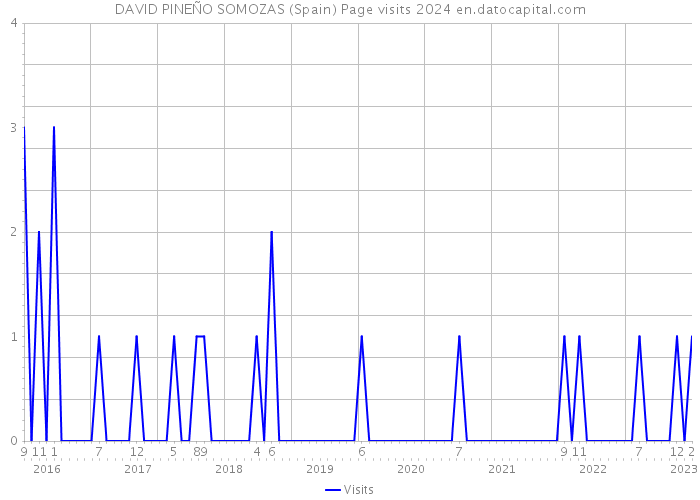DAVID PINEÑO SOMOZAS (Spain) Page visits 2024 
