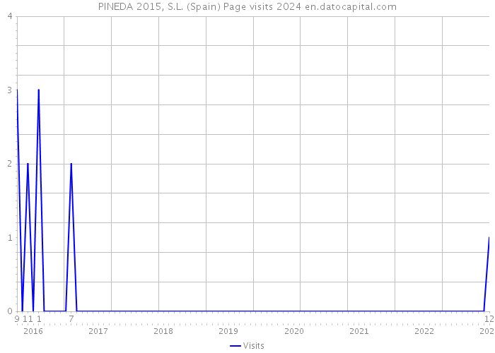 PINEDA 2015, S.L. (Spain) Page visits 2024 