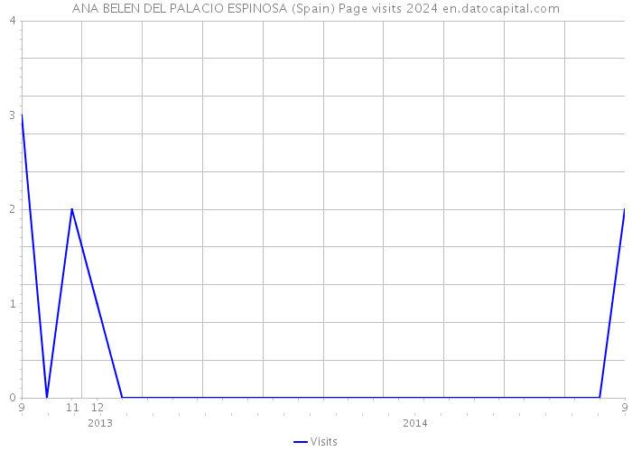 ANA BELEN DEL PALACIO ESPINOSA (Spain) Page visits 2024 