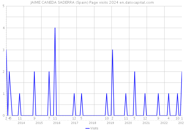 JAIME CANEDA SADERRA (Spain) Page visits 2024 