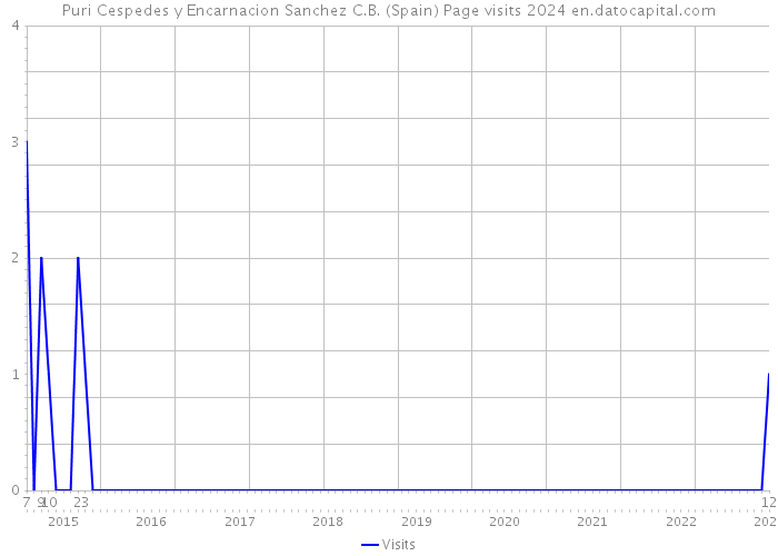 Puri Cespedes y Encarnacion Sanchez C.B. (Spain) Page visits 2024 