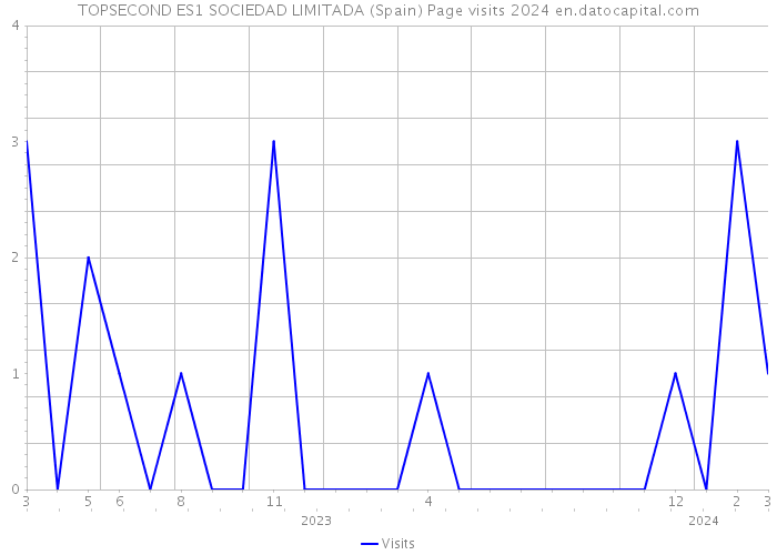 TOPSECOND ES1 SOCIEDAD LIMITADA (Spain) Page visits 2024 