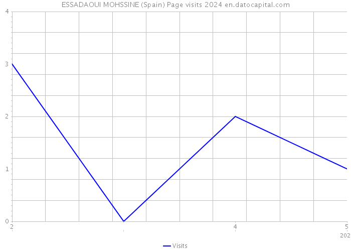 ESSADAOUI MOHSSINE (Spain) Page visits 2024 