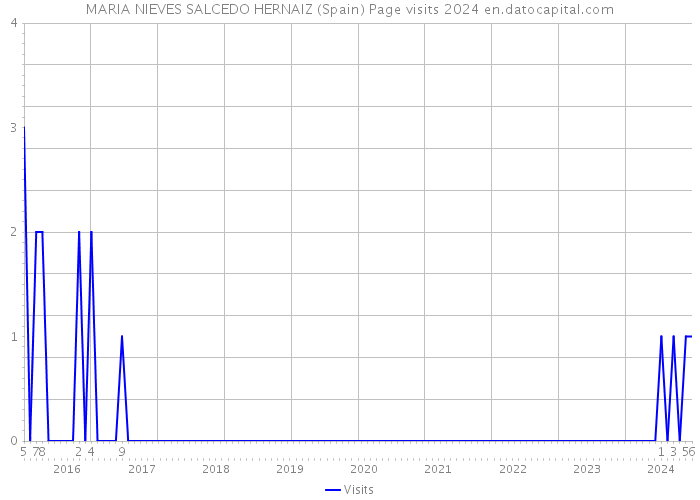 MARIA NIEVES SALCEDO HERNAIZ (Spain) Page visits 2024 