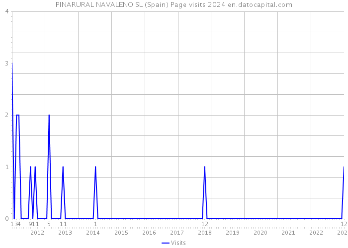 PINARURAL NAVALENO SL (Spain) Page visits 2024 