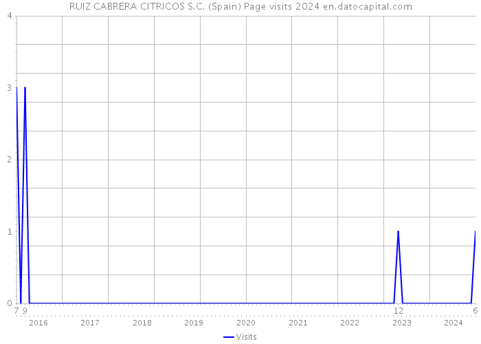 RUIZ CABRERA CITRICOS S.C. (Spain) Page visits 2024 