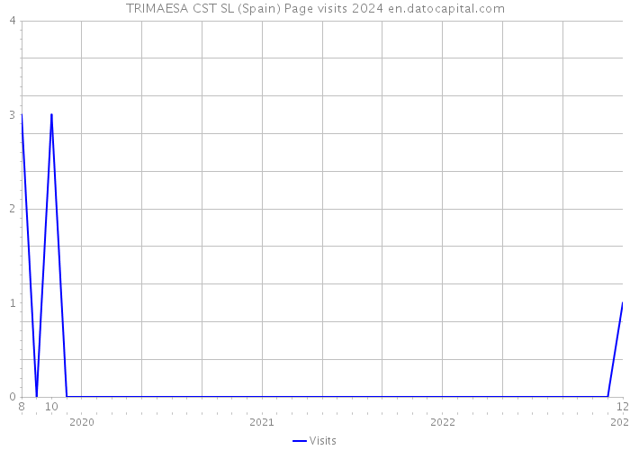 TRIMAESA CST SL (Spain) Page visits 2024 