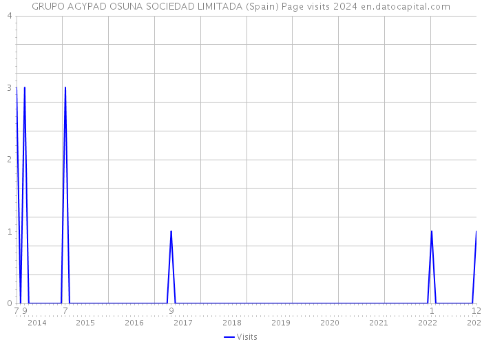 GRUPO AGYPAD OSUNA SOCIEDAD LIMITADA (Spain) Page visits 2024 