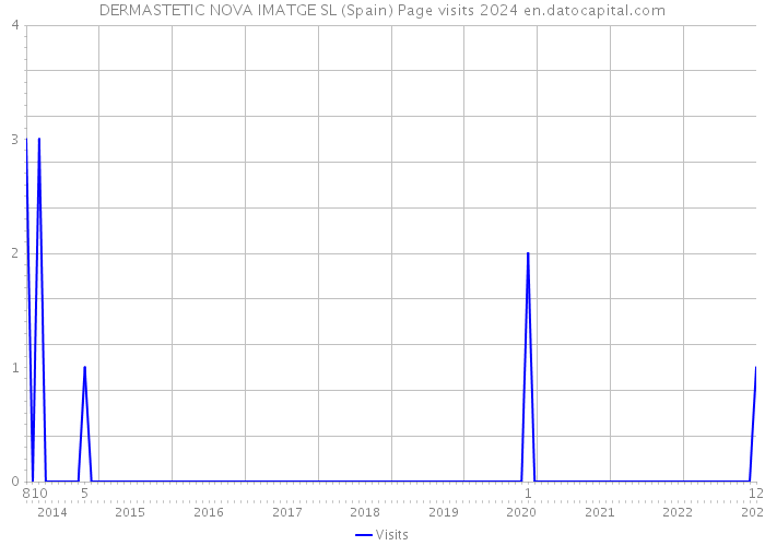 DERMASTETIC NOVA IMATGE SL (Spain) Page visits 2024 