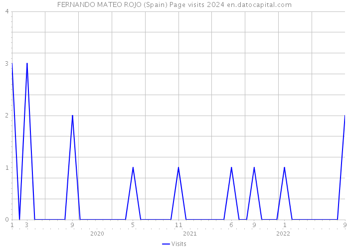 FERNANDO MATEO ROJO (Spain) Page visits 2024 