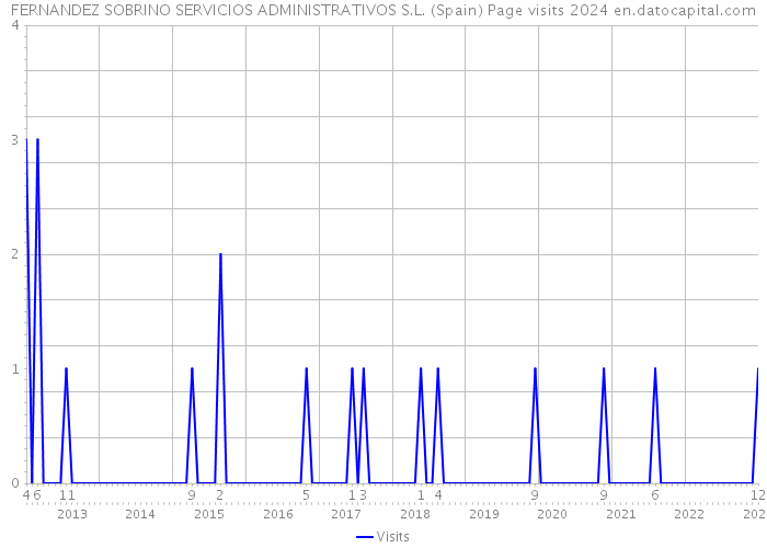 FERNANDEZ SOBRINO SERVICIOS ADMINISTRATIVOS S.L. (Spain) Page visits 2024 