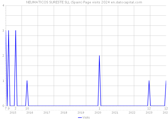 NEUMATICOS SURESTE SLL (Spain) Page visits 2024 