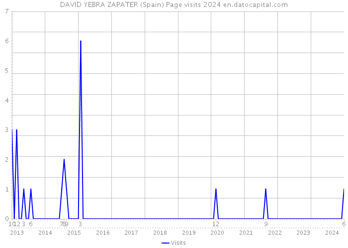 DAVID YEBRA ZAPATER (Spain) Page visits 2024 