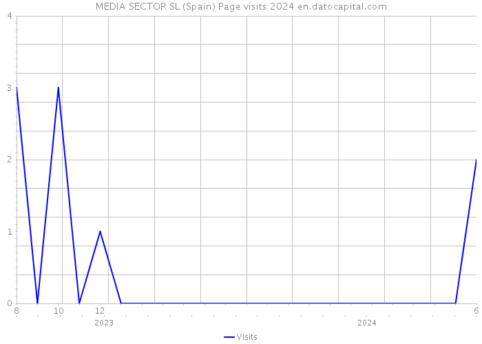 MEDIA SECTOR SL (Spain) Page visits 2024 