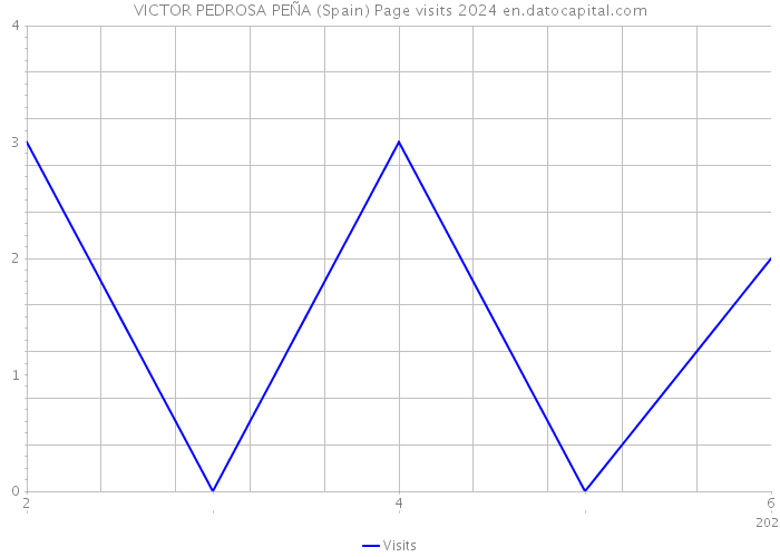 VICTOR PEDROSA PEÑA (Spain) Page visits 2024 
