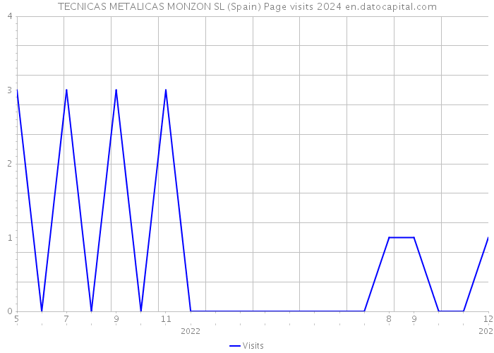 TECNICAS METALICAS MONZON SL (Spain) Page visits 2024 