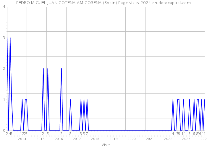 PEDRO MIGUEL JUANICOTENA AMIGORENA (Spain) Page visits 2024 