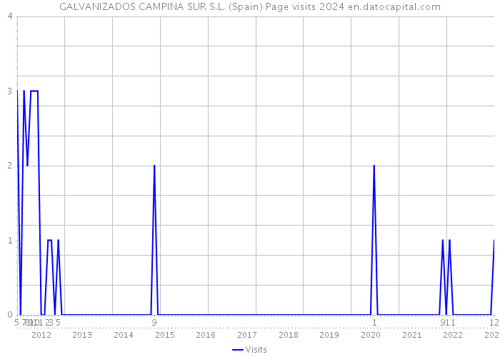 GALVANIZADOS CAMPINA SUR S.L. (Spain) Page visits 2024 