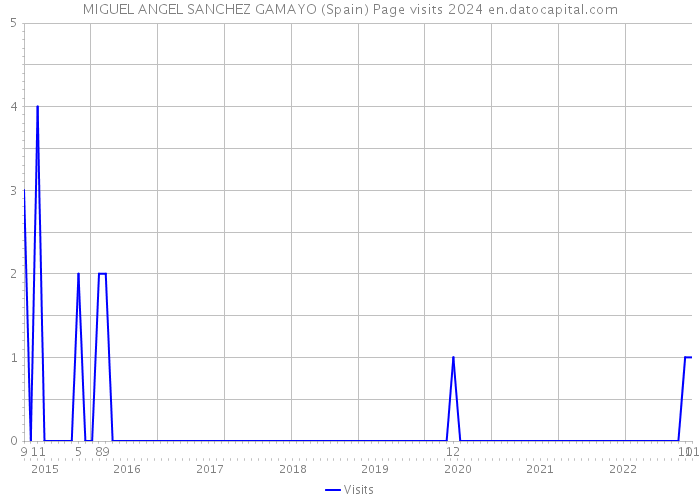 MIGUEL ANGEL SANCHEZ GAMAYO (Spain) Page visits 2024 