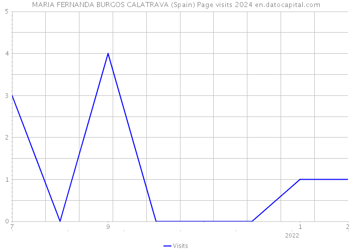 MARIA FERNANDA BURGOS CALATRAVA (Spain) Page visits 2024 