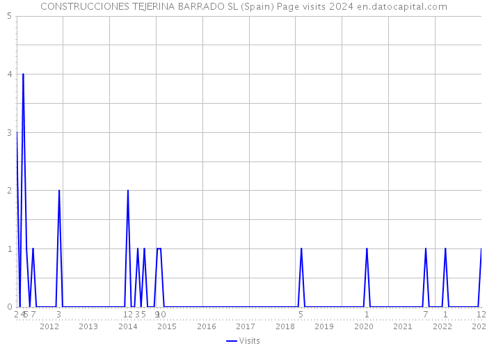 CONSTRUCCIONES TEJERINA BARRADO SL (Spain) Page visits 2024 