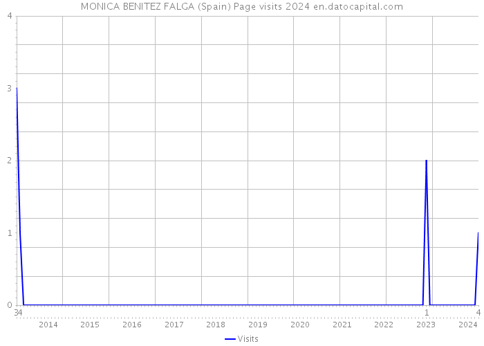 MONICA BENITEZ FALGA (Spain) Page visits 2024 