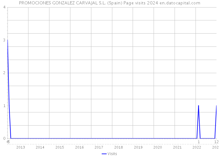 PROMOCIONES GONZALEZ CARVAJAL S.L. (Spain) Page visits 2024 