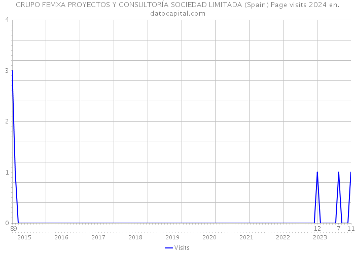GRUPO FEMXA PROYECTOS Y CONSULTORÍA SOCIEDAD LIMITADA (Spain) Page visits 2024 