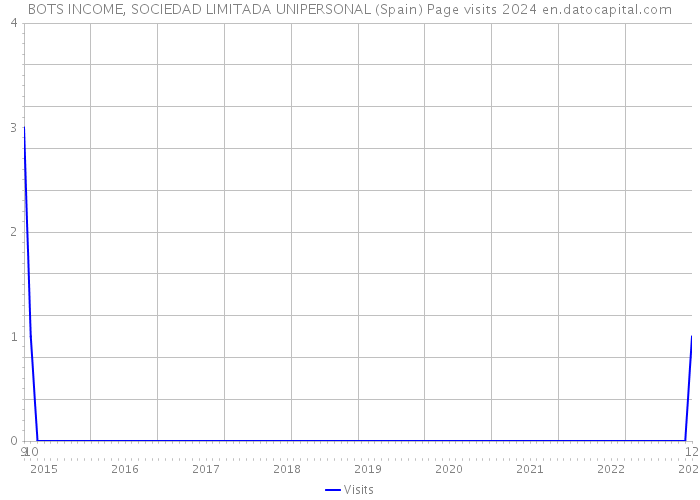 BOTS INCOME, SOCIEDAD LIMITADA UNIPERSONAL (Spain) Page visits 2024 