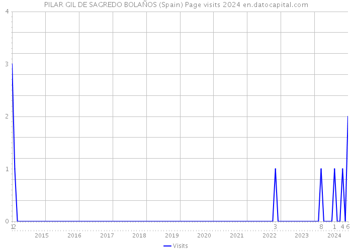 PILAR GIL DE SAGREDO BOLAÑOS (Spain) Page visits 2024 