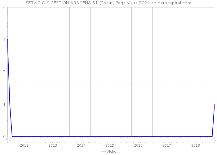 SERVICIO Y GESTION ARACENA S L (Spain) Page visits 2024 