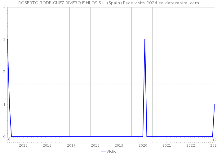 ROBERTO RODRIGUEZ RIVERO E HIJOS S.L. (Spain) Page visits 2024 