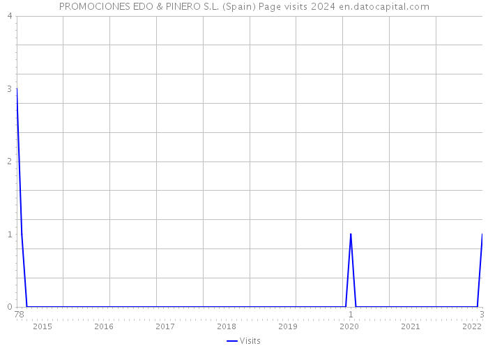 PROMOCIONES EDO & PINERO S.L. (Spain) Page visits 2024 