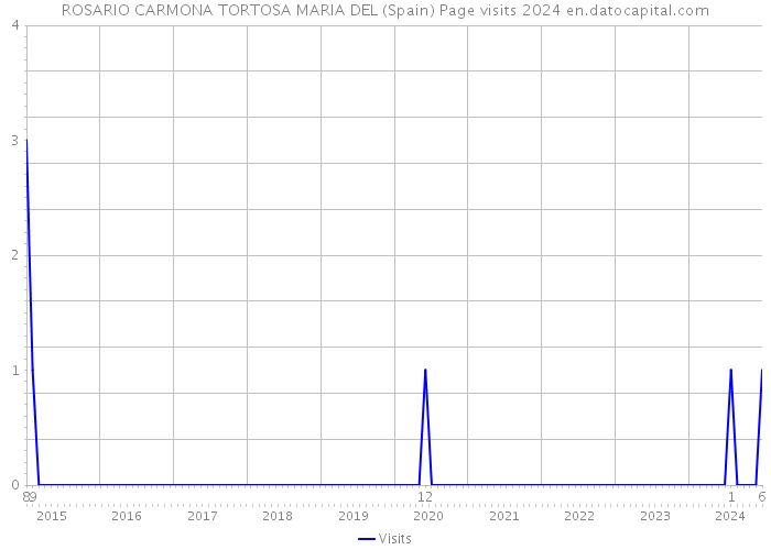 ROSARIO CARMONA TORTOSA MARIA DEL (Spain) Page visits 2024 