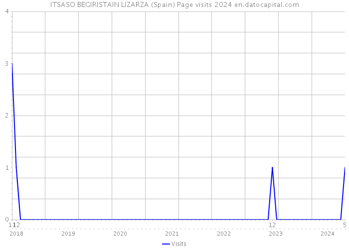 ITSASO BEGIRISTAIN LIZARZA (Spain) Page visits 2024 