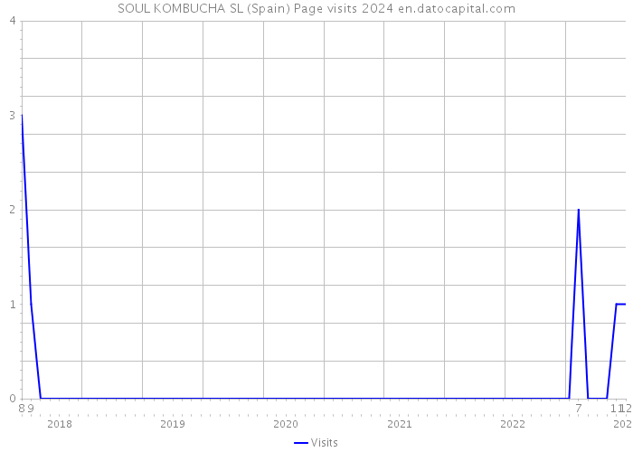SOUL KOMBUCHA SL (Spain) Page visits 2024 