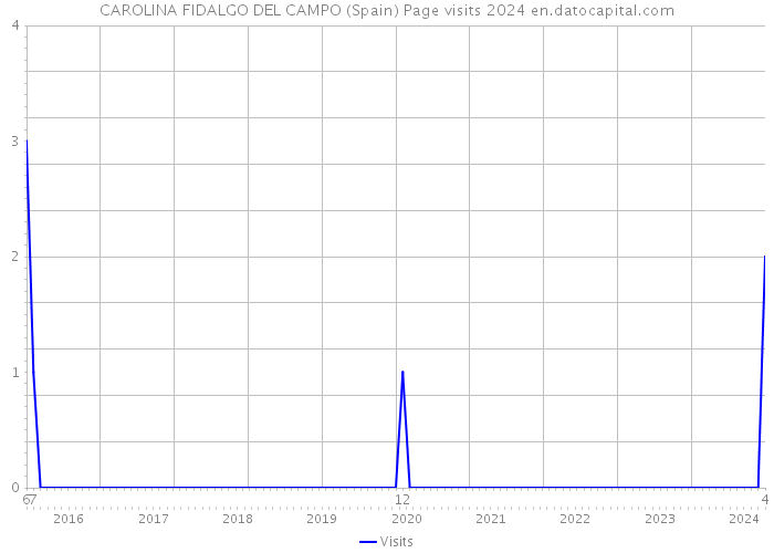 CAROLINA FIDALGO DEL CAMPO (Spain) Page visits 2024 