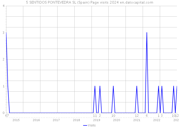 5 SENTIDOS PONTEVEDRA SL (Spain) Page visits 2024 