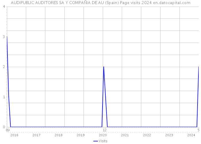 AUDIPUBLIC AUDITORES SA Y COMPAÑIA DE AU (Spain) Page visits 2024 