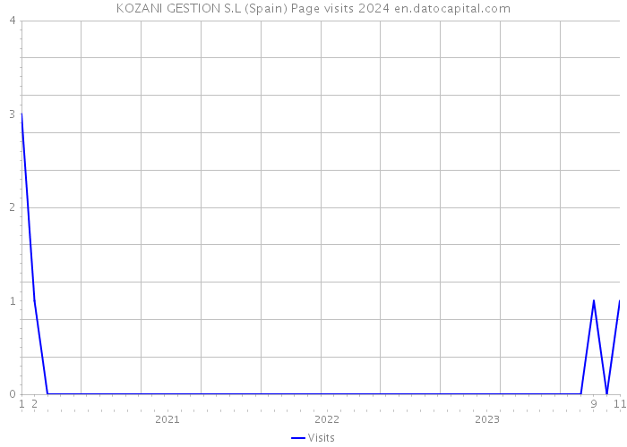 KOZANI GESTION S.L (Spain) Page visits 2024 