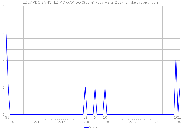 EDUARDO SANCHEZ MORRONDO (Spain) Page visits 2024 