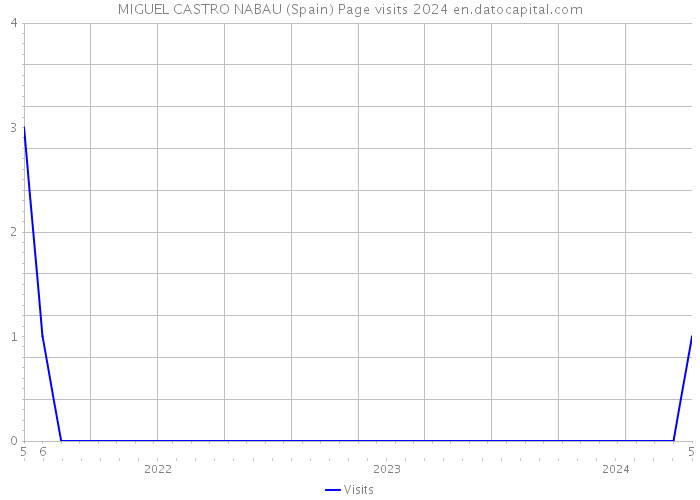 MIGUEL CASTRO NABAU (Spain) Page visits 2024 