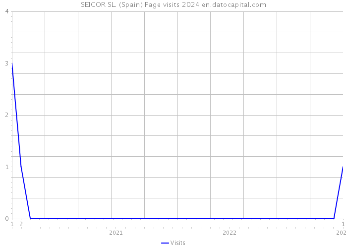 SEICOR SL. (Spain) Page visits 2024 