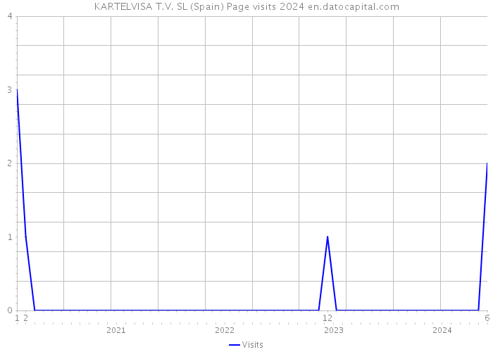 KARTELVISA T.V. SL (Spain) Page visits 2024 