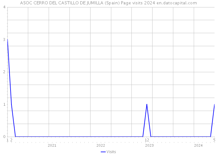 ASOC CERRO DEL CASTILLO DE JUMILLA (Spain) Page visits 2024 