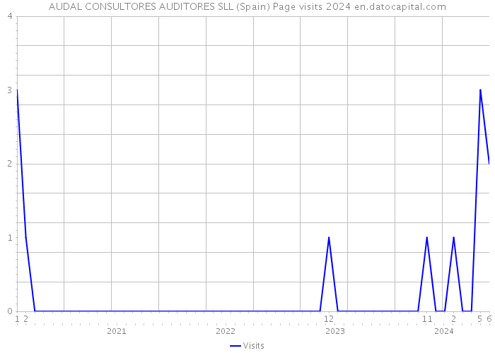 AUDAL CONSULTORES AUDITORES SLL (Spain) Page visits 2024 